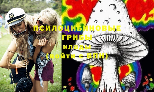 мдпв Сатка