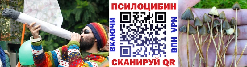 Псилоцибиновые грибы Cubensis  мега ССЫЛКА  Кириши 