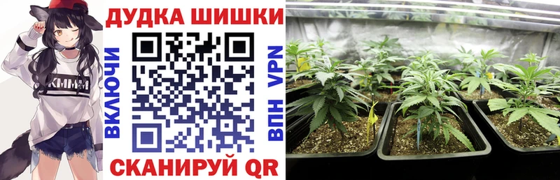 Канабис гибрид Кириши